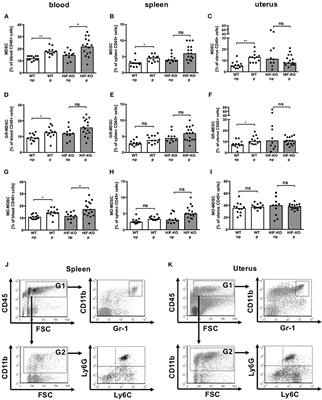 HIF-1α-Deficiency in Myeloid Cells Leads to a Disturbed Accumulation of Myeloid Derived Suppressor Cells (MDSC) During Pregnancy and to an Increased Abortion Rate in Mice